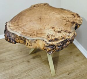 czeczota plaster